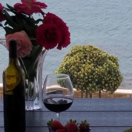 Sanja Rivarela Novigrad Istria